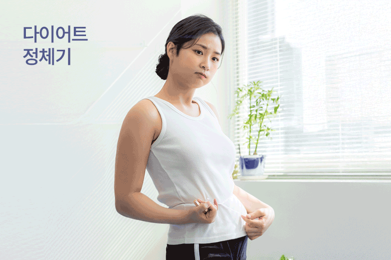 다이어트정체기